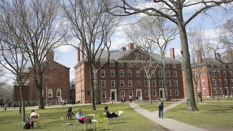 Harvard Yard on fall day, students lounge in colored chairs in foreground. Hollis Hall is in background.