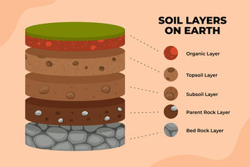 soil layer diagram.