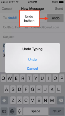 Screen capture of interface with undo button.