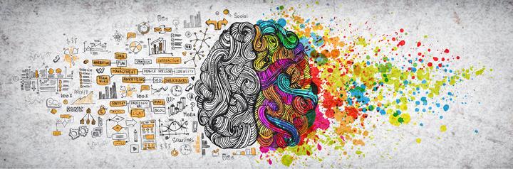 brain.