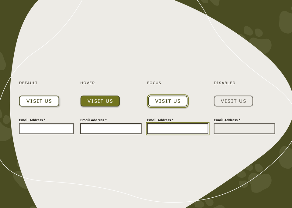 A button that reads “visit us” in various states: default, hover, focus, and disabled. An email address input is shown in the same four states as well. The hover state has a color change, and the focus state has an outline around the element.
